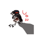 るいまろ警備保障①（個別スタンプ：19）