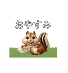 動く北のシマリス・毎日送りやすい！（個別スタンプ：6）