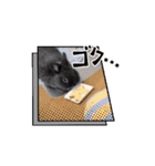 動くもちの日常（個別スタンプ：8）