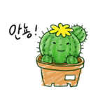 ちびサボテン(KOR)（個別スタンプ：1）