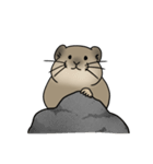 エゾナキウサギのえぞぴ（個別スタンプ：3）