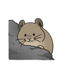 エゾナキウサギのえぞぴ（個別スタンプ：5）