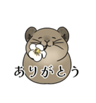 エゾナキウサギのえぞぴ（個別スタンプ：11）