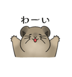 エゾナキウサギのえぞぴ（個別スタンプ：13）