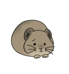 エゾナキウサギのえぞぴ（個別スタンプ：20）