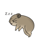 エゾナキウサギのえぞぴ（個別スタンプ：28）