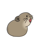 エゾナキウサギのえぞぴ（個別スタンプ：33）