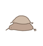 もっちりキーウィ2（個別スタンプ：39）