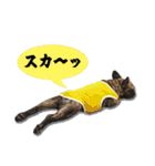 まん・すたんぷ（個別スタンプ：3）