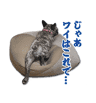 まん・すたんぷ（個別スタンプ：9）