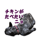 まん・すたんぷ（個別スタンプ：11）