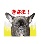 まん・すたんぷ（個別スタンプ：18）