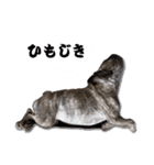 まん・すたんぷ（個別スタンプ：19）