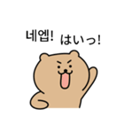 真剣熊2 (日本語/韓国語)（個別スタンプ：18）