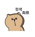 真剣熊2 (日本語/韓国語)（個別スタンプ：20）