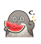 【夏】虚無かわいいアデリーペンギン（個別スタンプ：1）