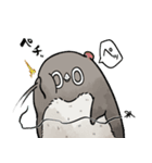 【夏】虚無かわいいアデリーペンギン（個別スタンプ：15）