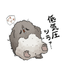 【夏】虚無かわいいアデリーペンギン（個別スタンプ：24）