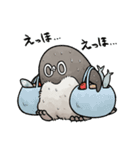 【夏】虚無かわいいアデリーペンギン（個別スタンプ：36）