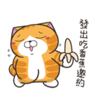 ランラン猫 71 (台湾版)（個別スタンプ：8）