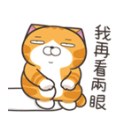 ランラン猫 71 (台湾版)（個別スタンプ：10）