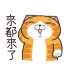 ランラン猫 71 (台湾版)（個別スタンプ：12）