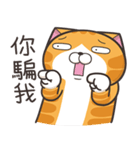 ランラン猫 71 (台湾版)（個別スタンプ：13）