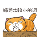 ランラン猫 71 (台湾版)（個別スタンプ：15）