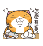 ランラン猫 71 (台湾版)（個別スタンプ：17）