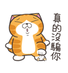 ランラン猫 71 (台湾版)（個別スタンプ：20）