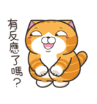 ランラン猫 71 (台湾版)（個別スタンプ：27）