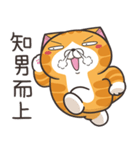 ランラン猫 71 (台湾版)（個別スタンプ：34）