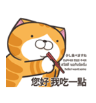 ランラン猫 71 (台湾版)（個別スタンプ：37）