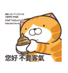 ランラン猫 71 (台湾版)（個別スタンプ：40）