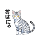 サバトラ猫スタンプ（その2）（個別スタンプ：1）