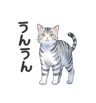 サバトラ猫スタンプ（その2）（個別スタンプ：3）