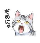 サバトラ猫スタンプ（その2）（個別スタンプ：4）