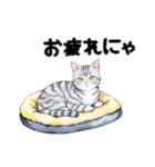 サバトラ猫スタンプ（その2）（個別スタンプ：6）