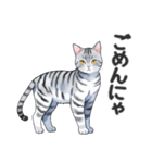 サバトラ猫スタンプ（その2）（個別スタンプ：7）