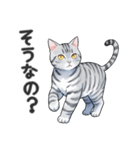 サバトラ猫スタンプ（その2）（個別スタンプ：8）
