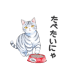 サバトラ猫スタンプ（その2）（個別スタンプ：9）
