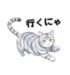 サバトラ猫スタンプ（その2）（個別スタンプ：10）