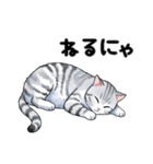 サバトラ猫スタンプ（その2）（個別スタンプ：11）