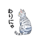 サバトラ猫スタンプ（その2）（個別スタンプ：12）