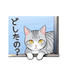 サバトラ猫スタンプ（その2）（個別スタンプ：15）