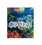 背景が動く▶︎美しいアクアリウム2✨日常（個別スタンプ：7）