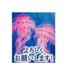 背景が動く▶︎美しいアクアリウム2✨日常（個別スタンプ：9）