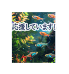 背景が動く▶︎美しいアクアリウム2✨日常（個別スタンプ：11）