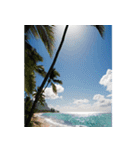 飛び出すハワイ✨▶︎自然が好き--Hawaii--（個別スタンプ：1）
