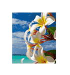 飛び出すハワイ✨▶︎自然が好き--Hawaii--（個別スタンプ：5）